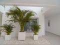 Holiday homeSpain - Costa del Sol: 492836