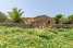 Holiday homeSpain - : YourHouse Son Sala Agroturismo Vina Vella - doble  [6] 