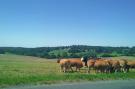 FerienhausFrankreich - : Le Haut Chambon