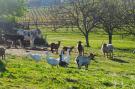 FerienhausFrankreich - : Le Pigeonnier