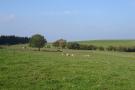 FerienhausFrankreich - : Près du lac dans le Gers