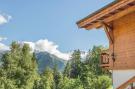 Holiday homeFrance - : Le Mont Blanc - Les Traces