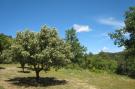 Holiday homeFrance - : La Bastide Clémentine