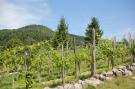 FerienhausFrankreich - : Les Chalets des Ayes 6