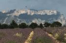 FerienhausFrankreich - : Les Lauriers-Roses