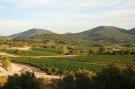 Holiday homeFrance - : Mas des Vignes