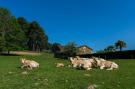 FerienhausFrankreich - : Maison de vacances Loubejac