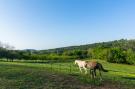 FerienhausFrankreich - : Maison de vacances Mazeyrolles 8p