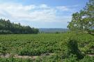 FerienhausFrankreich - : Les Chênes- SAINT-BRÈS