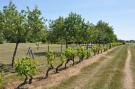 Holiday homeFrance - : La Ferme les Drageonnières