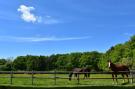 FerienhausFrankreich - : Maison de vacances Combreux