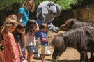 VakantiehuisFrankrijk - : Domaine de Chateau Laval Gréoux-les-Bains 3