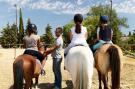 FerienhausFrankreich - : Le village Camarguais Les Gardians 1