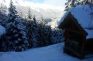 Holiday homeFrance - : Chalet - Oz-en-Oisans