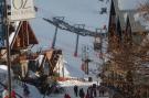 Holiday homeFrance - : Chalet - Oz-en-Oisans