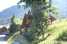 Holiday homeFrance - : Chalet - Oz-en-Oisans  [1] 