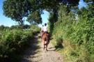 VakantiehuisFrankrijk - : Gite 6 pers proche Mont St Michel