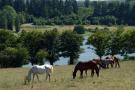 FerienhausFrankreich - : Les Hauts de Valjoly 4