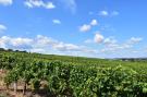 VakantiehuisFrankrijk - : Ferme de Charme Bourgogne 15 pers