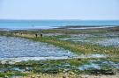 FerienhausFrankreich - : Maison indépendante sur l'île de Ré