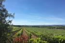 Holiday homeFrance - : Villa le Syrah