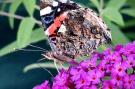 FerienhausFrankreich - : Gite Bourgogne rust &amp; natuur