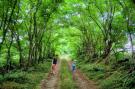 FerienhausFrankreich - : Gite Bourgogne rust &amp; natuur