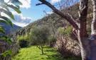 FerienhausFrankreich - : Olargues