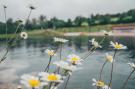 FerienhausFrankreich - : Les Hameaux des Lacs