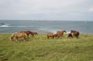 Holiday homeFrance - : Doppelhaushälfte mit Meerblick Porspoder