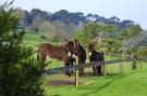 FerienhausFrankreich - : Natural stone house with private Jacuzzi on Breton