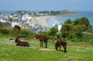 Holiday homeFrance - : Natural stone cottage with garden and sea view on 