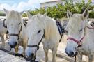 VakantiehuisFrankrijk - : Doppelhaushälfte in Saintes-Maries-de-la-Mer