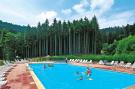 VakantiehuisFrankrijk - : Holiday resort Les Fontaines des Vosges Saales // 