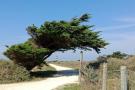 FerienhausFrankreich - : Residence Les Hameaux des Sables Vignier - Saint-G