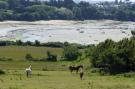 FerienhausFrankreich - : Dupleix dans un jardin bucolique à Saint Briac sur