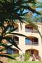 Holiday homeFrance - : Residence Les Dauphins Tiuccia / Bilocale 4 - 2pcs