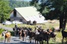 FerienhausFrankreich - : Ferienwohnung in Retournac