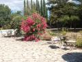 Holiday homeFrance - : 453364