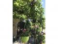 Holiday homeFrance - : 249010