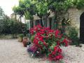 Holiday homeFrance - : 249010