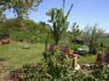 Holiday homeFrance - : 94486