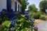 Holiday homeFrance - : Les Forges 2 bedrooms n80  [23] 