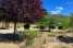 Holiday homeFrance - : Villa les Hirondelles  [33] 