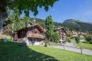 Holiday homeFrance - : Chalet Le Nid Zut