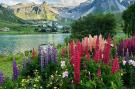 FerienhausFrankreich - : Location de Vacances Tignes - val claret 86