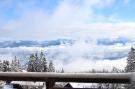 Holiday homeFrance - : Location de Vacances Chamrousse 191