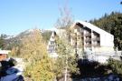 Holiday homeFrance - : Location de Vacances Chamrousse 221