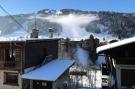 Holiday homeFrance - : Chalet Le Blizzard