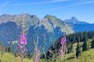 FerienhausFrankreich - : Location de Vacances Morzine 139